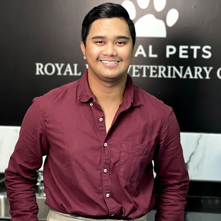 Erwin Barros Ramayan